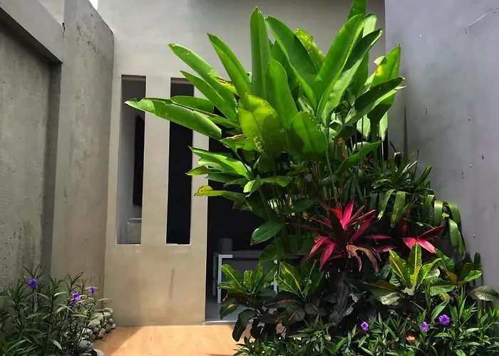 بيت ضيافة The Tanjung Bidadari سمينياك